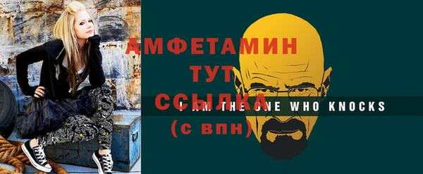 индика Верхний Тагил