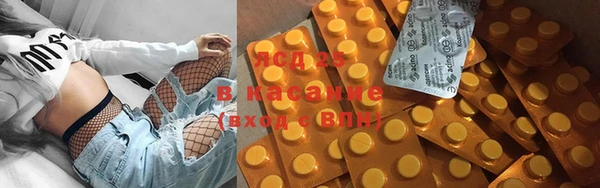 индика Верхний Тагил