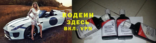 индика Верхний Тагил