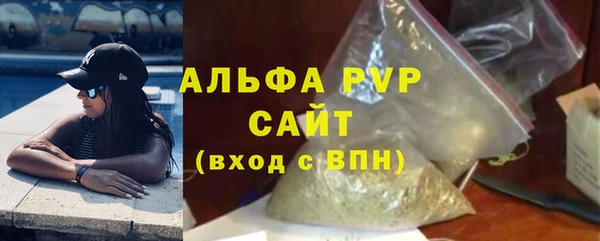 индика Верхний Тагил
