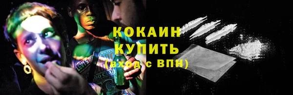 индика Верхний Тагил