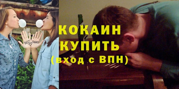 индика Верхний Тагил