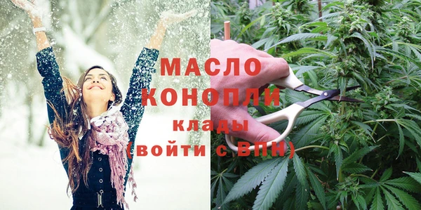 индика Верхний Тагил