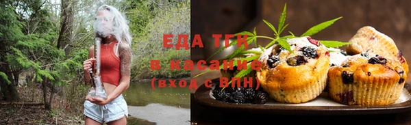 индика Верхний Тагил