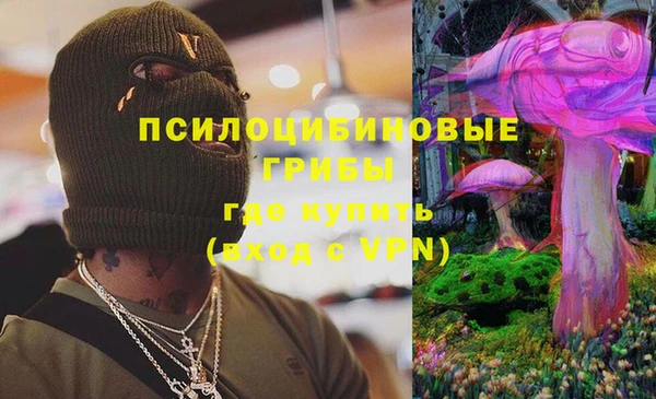 соль курить ск Верея