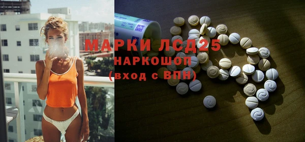 индика Верхний Тагил