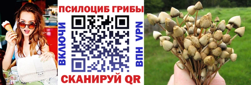 Галлюциногенные грибы MAGIC MUSHROOMS где купить наркоту Нестеровская