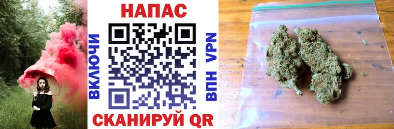 Бошки Шишки марихуана  где найти наркотики  Нестеровская 